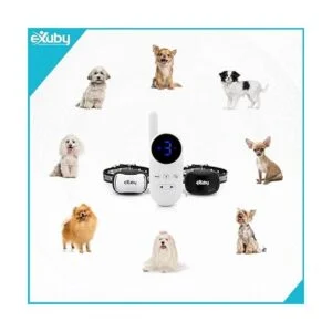 eXuby Pequeño collar de doble choque Collar más pequeño_4