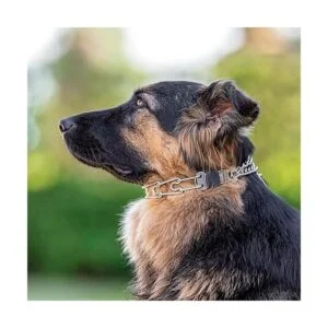 Herm Sprenger Collar de perro de acero inoxidable con_6