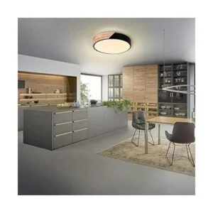 EDISLIVE Lámpara de techo regulable de 11 pulgadas_4