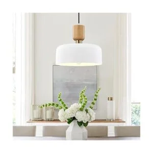 TeHenoo Iluminación colgante moderna lámpara colgante_7