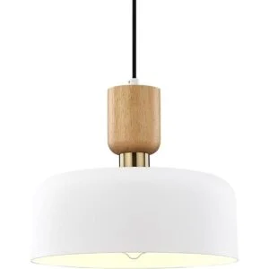 TeHenoo Iluminación colgante moderna lámpara colgante_1