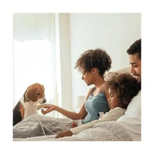 PETMAKER Pet Stairs Collection Safe and Durable Indoor_5