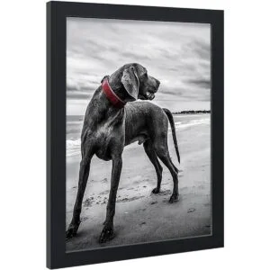 VCK Marcos para póster de 18 x 24 pulgadas paquete de 3_5