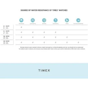 Timex Tribute Collegiate Weekender Chrono Correa de cuero_3