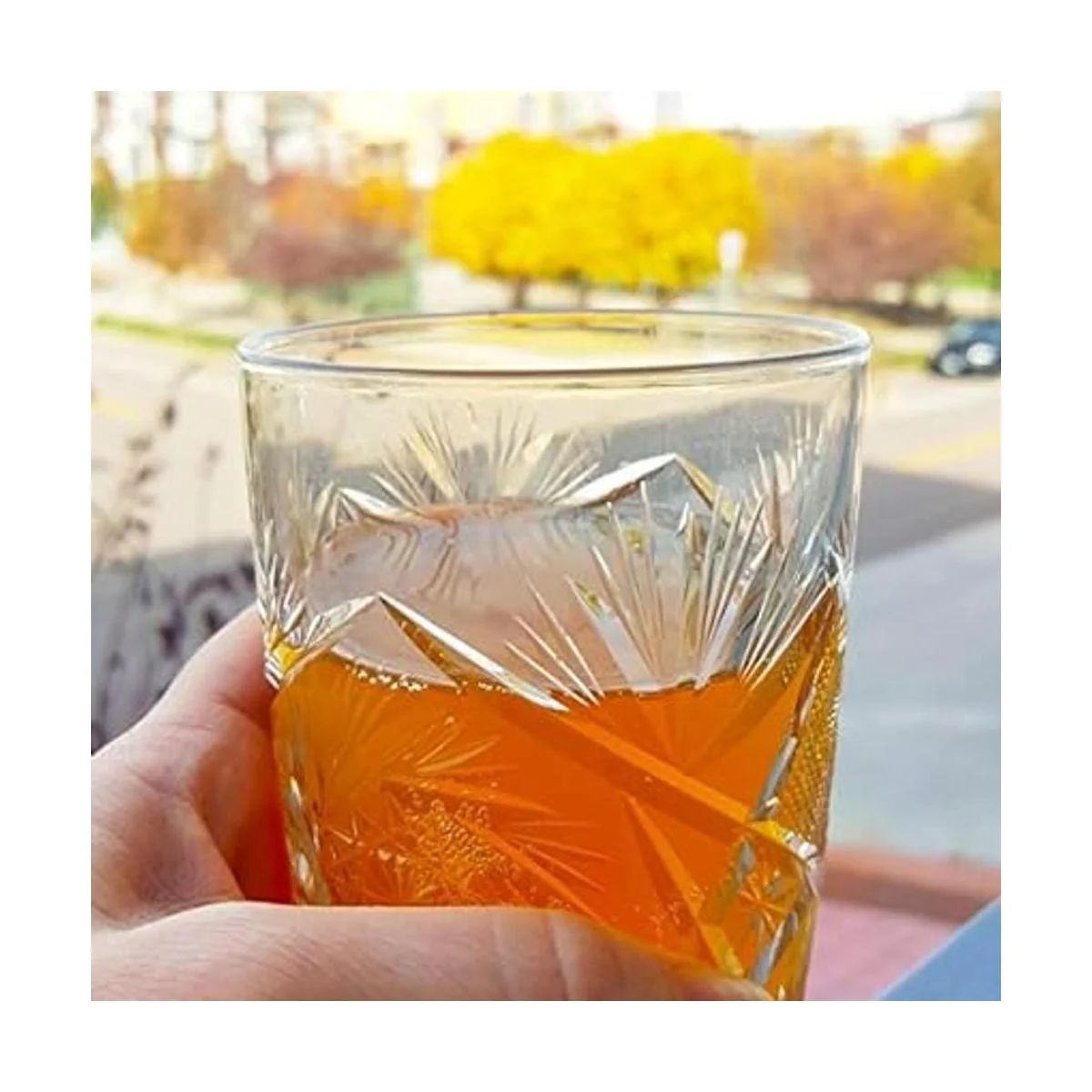 Bucha Brewers Deluxe Kombucha Starter Kit con Kombucha_6