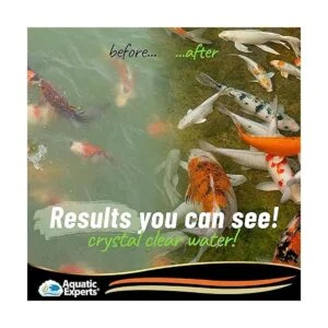 Aquatic Experts Almohadilla de filtro de estanque gruesa_5