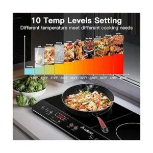 Aobosi Quemador de doble inducción con temporizador de 240_4
