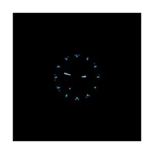 Bertucci A2SEL Reloj superiluminado Gris fantasma_4