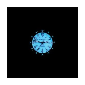 Bertucci A2SEL Reloj superiluminado Gris fantasma_3
