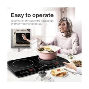 Aobosi Quemador de doble inducción con temporizador de 240_6