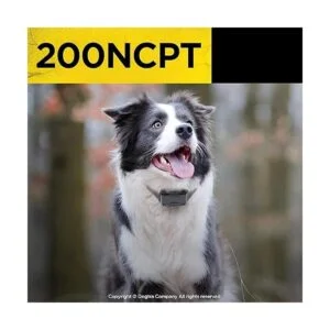 Dogtra 200NCPT Collar electrónico de entrenamiento para_6