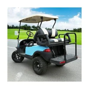 10L0L Kit de luces LED de lujo para carrito de golf para_4