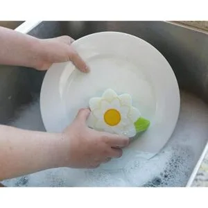 Lil Holster Mini piedra con esponja de flor_4