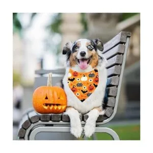 Paquete de 2 bandanas de Halloween para perros pañuelos_7