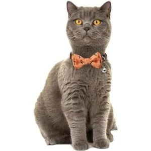Lamphyface Collar de gato de Halloween con bonito lazo y_5