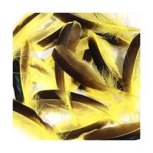 THARAHT 120 plumas amarillas de pato malva de 4 a 6_6