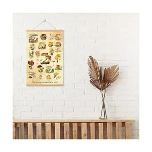 Póster vintage de hongos estéticos para pared estilo_5