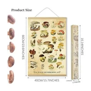 Póster vintage de hongos estéticos para pared estilo_4
