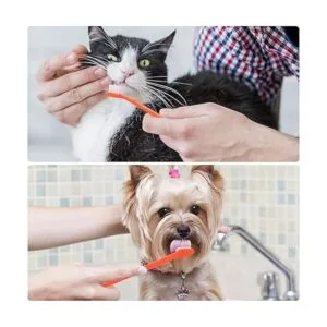 EASYA Cepillo de dientes de doble cabeza para perros_4