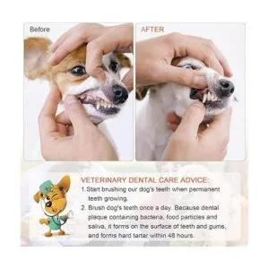 EASYA Cepillo de dientes de doble cabeza para perros_5