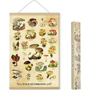 Póster vintage de hongos estéticos para pared estilo_1