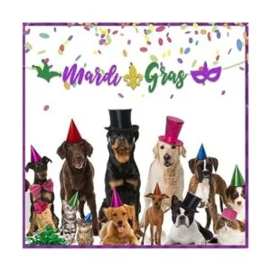 Mardi Gras Decoraciones Mardi Gras Banner Guirnalda de_3