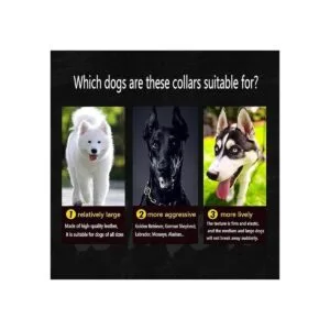 Collar de cuero para perros grandes aspecto moderno y_7