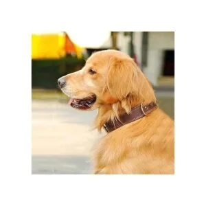 Collar de cuero para perros grandes aspecto moderno y_5