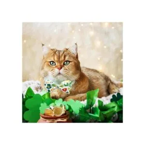 Pohshido 2 Pack St. Patrick Day Cat Collar with Bow_7