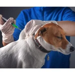 Paquete de 15 jeringas estériles de plástico de 0.0 fl_5