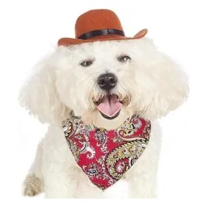 Disfraz de vaquero para mascotas divertido disfraz de_4