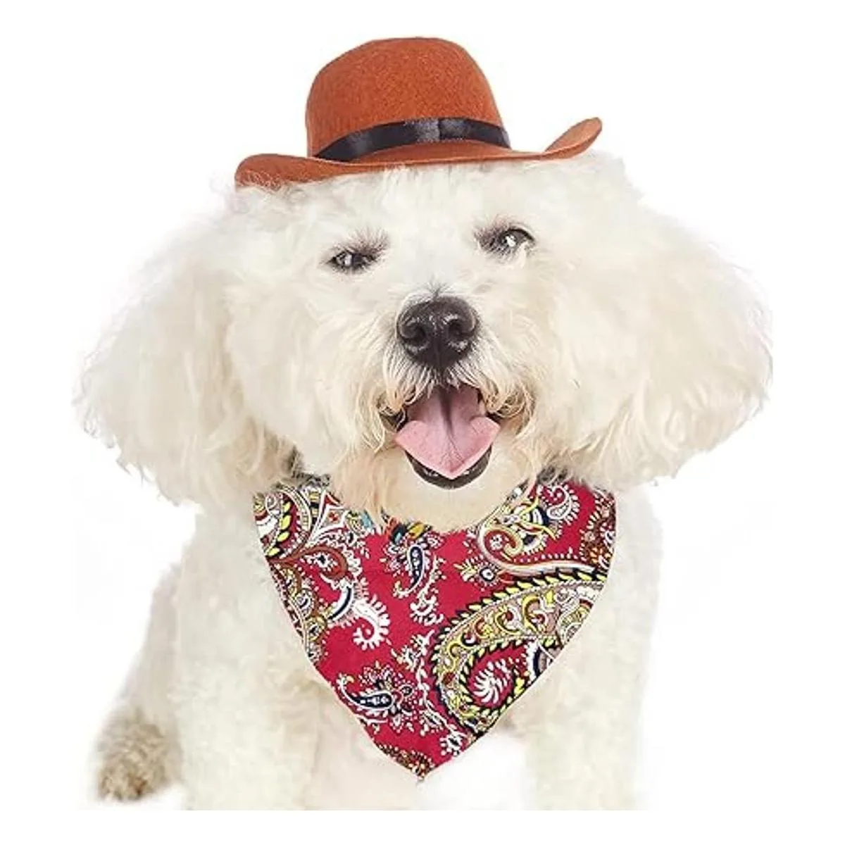 Disfraz de vaquero para mascotas divertido disfraz de_4