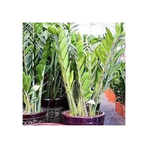 200 PCS Floral Stem Wire Flower Arrangements and DIY_6