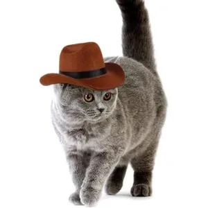 Disfraz de vaquero para mascotas divertido disfraz de_6