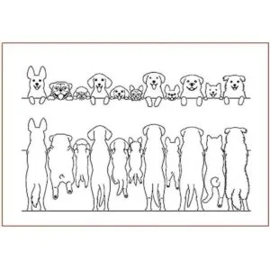 Arrietty Pet Furry Friend Labrador perro diferentes tipos_1