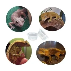 QIHYCUF 100 tazas pequeñas de plástico para alimentos y_5