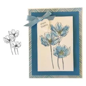 Hermosas amapolas florecientes con flores de amapola y_2