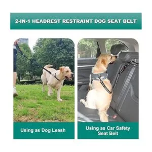 Junreox Paquete de 2 cinturones de seguridad para perro_2