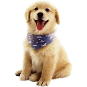 TinaWood Pañuelos lavables para perros diseño cuadrado_4