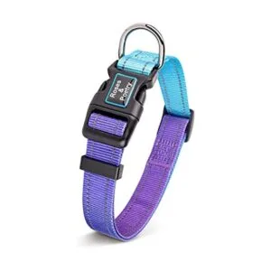 RosesPoetry Collar reflectante para perro con violeta_1