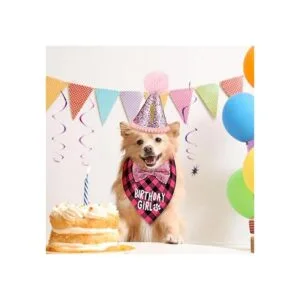 Suministros de fiesta de cumpleaños para perros niño y_6