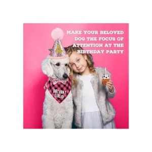 Suministros de fiesta de cumpleaños para perros niño y_7