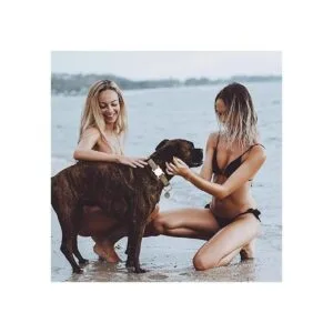 Airtag Soporte para collar de perro 2 unidades para_6