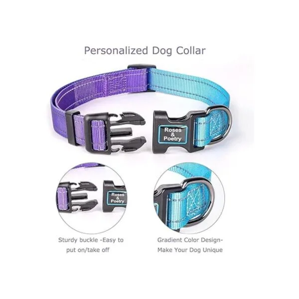 RosesPoetry Collar reflectante para perro con violeta_3