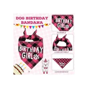 Suministros de fiesta de cumpleaños para perros niño y_4