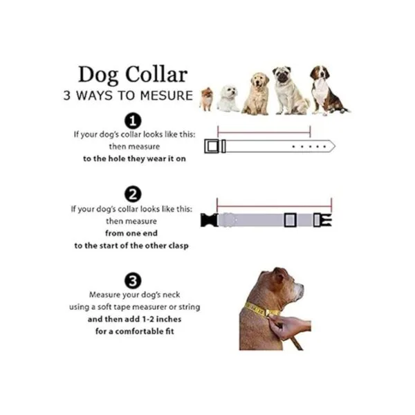 RosesPoetry Collar reflectante para perro con violeta_5