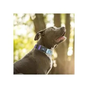 RosesPoetry Collar reflectante para perro con violeta_6