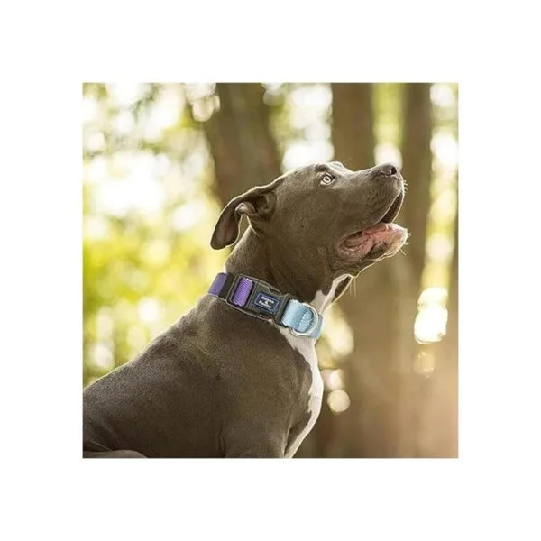 RosesPoetry Collar reflectante para perro con violeta_6