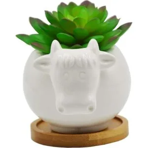 Macetas suculentas maceta de cerámica con forma de vaca_1