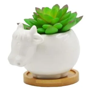 Macetas suculentas maceta de cerámica con forma de vaca_3